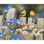 Small Morning Glories And Finches (image for) Small Morning Glories And Finches